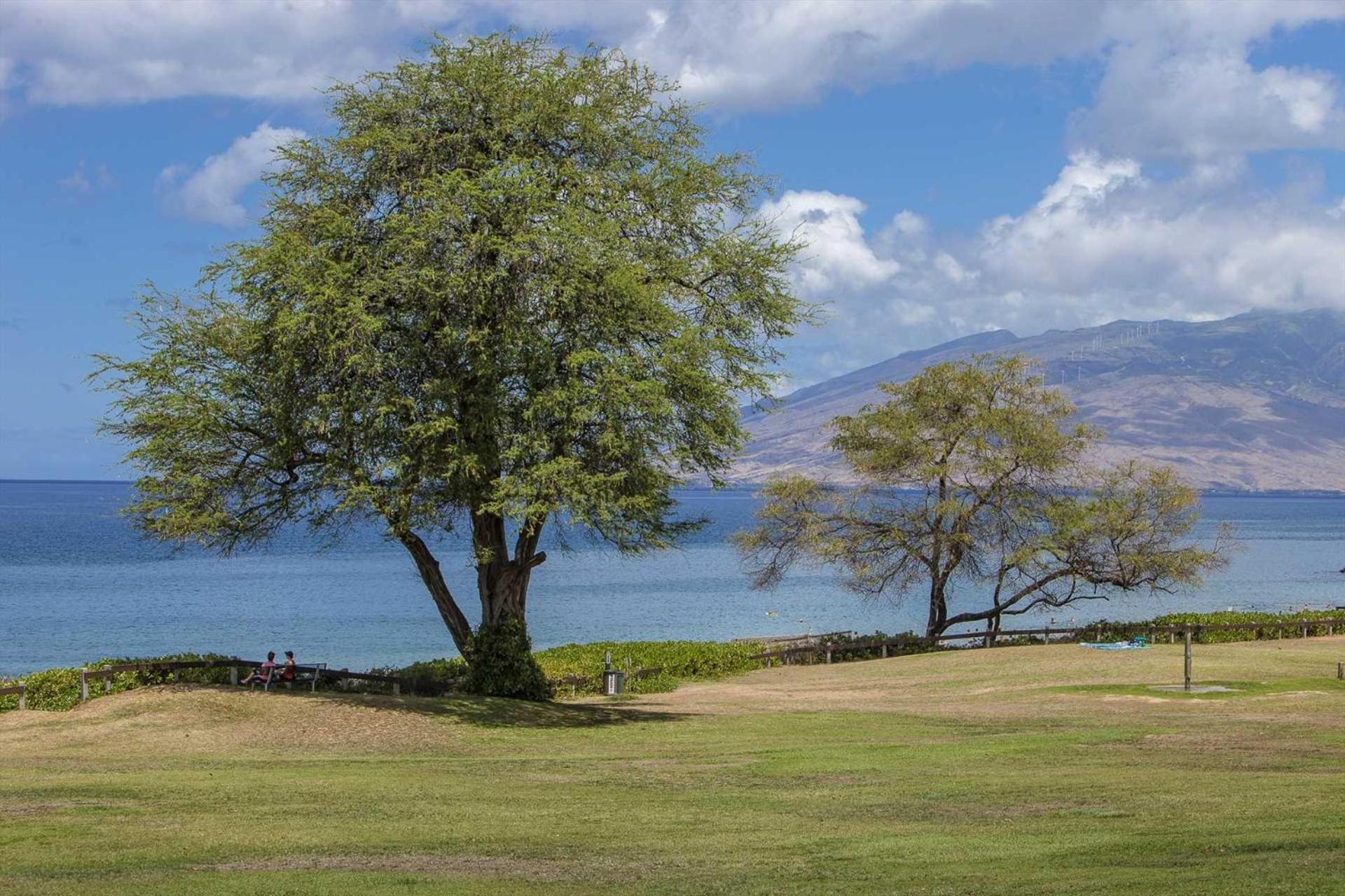 Kai Nani - Unit 341 Holiday home