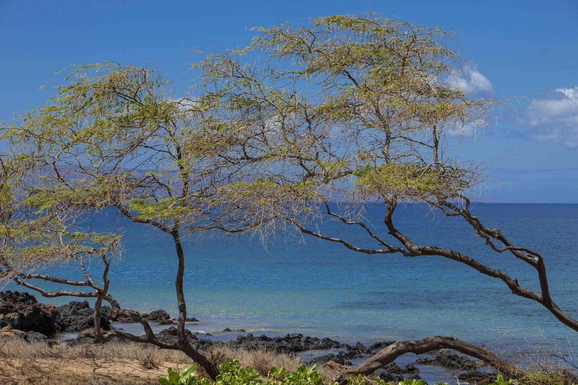 Kai Nani - Unit 341 Holiday home Kihei