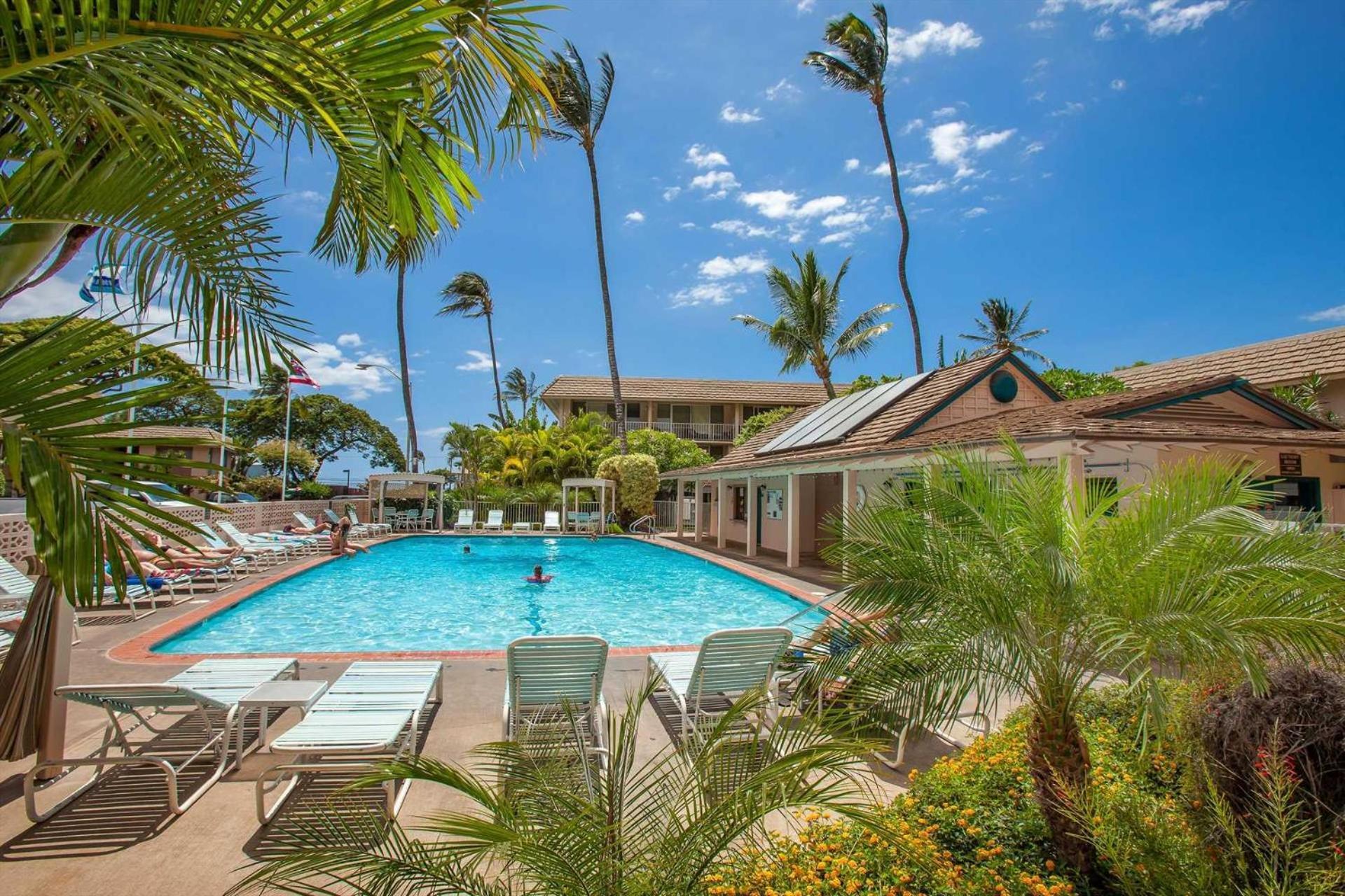 Kai Nani - Unit 341 Kihei